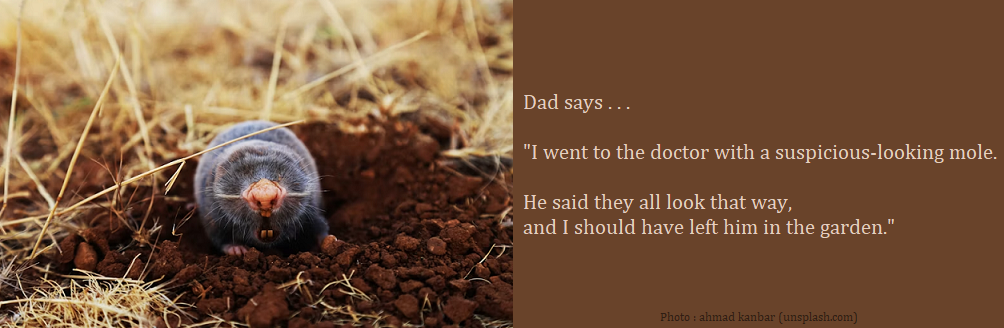 Dad Joke : Dad says . . . "I went to the doctor with a suspicious-looking mole. He said they all look that way, and I should have left him in the garden."